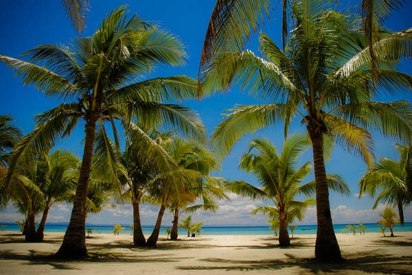 Bãi biển xinh đẹp ở Cebu. Ảnh: Kamalayan Bãi biển xinh đẹp ở Cebu. Ảnh: Kamalayan