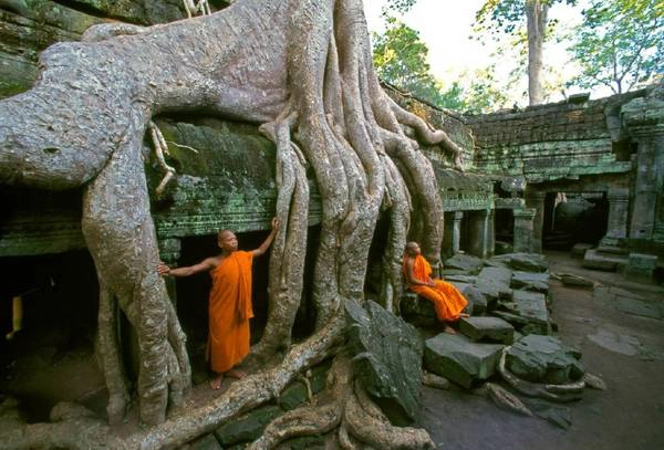 Một trải nghiệm vô cùng quen thuộc nhưng không một du khách nào bỏ qua khi đến Siem Reap là ghé thăm những ngôi đền Angkor. Ảnh: herculture.org