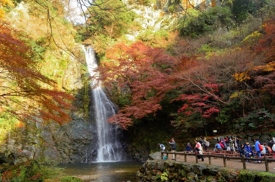 Osaka là điểm đến đầy quyến rũ khi Nhật Bản vào thu. Thành phố này có công viên quốc gia Minoo, nơi phủ kín những tán lá phong chuyển màu rực rỡ, đẹp đến nao lòng giữa tiết thu lãng đãng. Vietjet vừa mở 3 đường bay mới, Hà Nội - Tokyo (Narita, Nhật Bản), Hà Nội - Osaka, TP.HCM - Osaka giúp việc đi lại, du lịch tại Nhật Bản trở nên dễ dàng hơn. Osaka luôn có các trải nghiệm tuyệt vời sau chờ bạn khám phá. Ảnh: Wanderast. Osaka là điểm đến đầy quyến rũ khi Nhật Bản vào thu. Thành phố này có công viên quốc gia Minoo, nơi phủ kín những tán lá phong chuyển màu rực rỡ, đẹp đến nao lòng giữa tiết thu lãng đãng. Vietjet vừa mở 3 đường bay mới, Hà Nội - Tokyo (Narita, Nhật Bản), Hà Nội - Osaka, TP.HCM - Osaka giúp việc đi lại, du lịch tại Nhật Bản trở nên dễ dàng hơn. Osaka luôn có các trải nghiệm tuyệt vời sau chờ bạn khám phá. Ảnh: Wanderast.