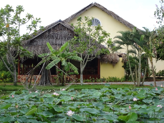 Ngủ homestay với người dân địa phương  Những năm gần đây Bến Tre nổi lên với mô hình homestay. Đây là dịch vụ lưu trú với người dân địa phương, cùng ăn, ở và trò chuyện với chủ nhà. Mô hình du lịch còn khá mới ở Bến Tre, nên người dân địa phương rất hào hứng và chào đón tất cả du khách ghé thăm.