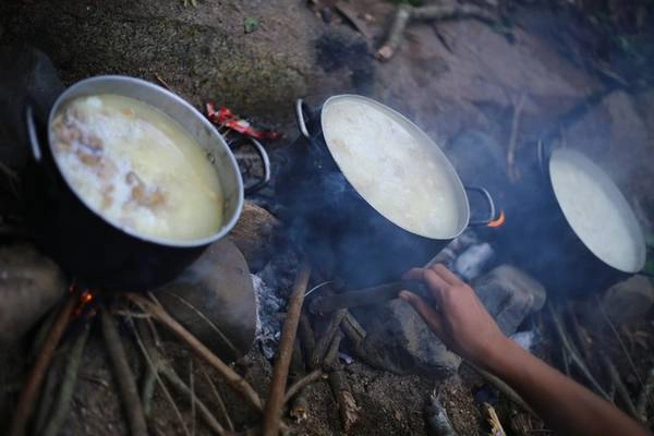 Nấu cơm giữa rừng xanh: Cũng như các cung trek khác, Tà Năng- Phan Dũng đòi hỏi người tham gia tự biết tồn tại trong rừng ít nhất 3 ngày, trong đó có việc nấu cơm bằng nước suối, bếp được kê từ mấy viên đá. Lưu ý khi nấu xong luôn dùng nước để dập hết lửa và than, thu dọn rác mang theo ra khỏi rừng.