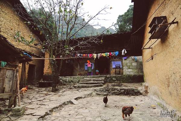 du-lich-bui-ha-giang-ivivu-4
