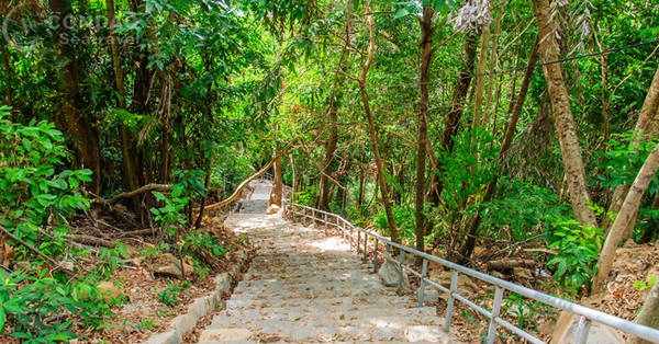Con đường đi xuống bãi Ông Đụng. Ảnh: condaoseatravel.com Con đường đi xuống bãi Ông Đụng. Ảnh: condaoseatravel.com