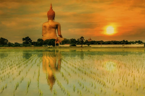 10-trai-nghiem-thu-vi-nen-thu-khi-den-bangkok-ivivu-4