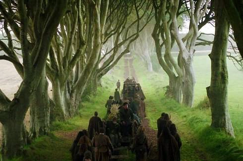 Hàng cây hắc ám (Dark Hedges)