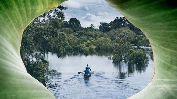 Chèo kayak và đánh cá ở Amazon  Chèo thuyền kayak len lỏi ở các khu vực xa xôi của Amazon thuộc Colombia, Peru và Brazil, du khách sẽ được trải nghiệm ngủ trong rừng rậm, gặp gỡ các bộ tộc bản địa và trekking băng rừng ban đêm. Ảnh: largeminority.