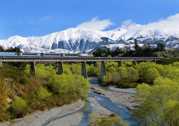 Tại New Zealand, chuyến tàu TranzAlpine cho phép hành khách ngắm nhìn phong cảnh hùng vĩ và vẻ đẹp kinh ngạc của vùng đồng bằng nằm giữa Christchurch và Greymouth. Tuyến tàu có chiều dài hơn 200 km chỉ mất chưa tới 5 giờ đi đường. Ảnh: Age Fotostock.