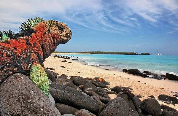 Du lịch Ecuador