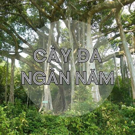 Ảnh: panoramio Ảnh: panoramio
