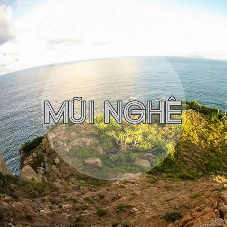 Ảnh: Bước Chân Không Mỏi Ảnh: Bước Chân Không Mỏi