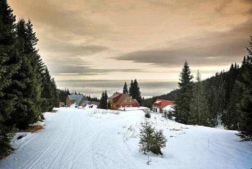 Trượt tuyết ở Krkonoše: Tháng mười một đến tháng hai là mùa trượt tuyết ở Czech. Sau khoảng một giờ đi xe buýt từ trung tâm Prague, bạn sẽ bắt gặp một bức màn phủ đầy tuyết tuyệt đẹp. Buổi tối khi đã trượt tuyết xong, không còn gì tuyệt hơn là một tô súp nóng tại ngôi nhà gỗ ấm cúng phía sau rặng núi. Trượt tuyết ở Krkonoše: Tháng mười một đến tháng hai là mùa trượt tuyết ở Czech. Sau khoảng một giờ đi xe buýt từ trung tâm Prague, bạn sẽ bắt gặp một bức màn phủ đầy tuyết tuyệt đẹp. Buổi tối khi đã trượt tuyết xong, không còn gì tuyệt hơn là một tô súp nóng tại ngôi nhà gỗ ấm cúng phía sau rặng núi.