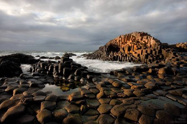 Ảnh: Wikimedia Commons Ảnh: Wikimedia Commons