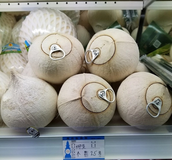 Trái dừa có hẳn phần nắp "lon" để mở giống lon bia hay lon nước ngọt ở Trung Quốc cũng được khách du lịch nước ngoài quan tâm và tò mò. Trái dừa có hẳn phần nắp "lon" để mở giống lon bia hay lon nước ngọt ở Trung Quốc cũng được khách du lịch nước ngoài quan tâm và tò mò.
