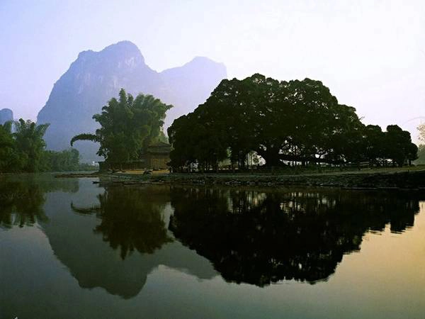 <strong>13. Cây đại bồ đề ước nguyện:</strong> Cây bồ đề có niên đại từ triều nhà Tùy này cao 17 mét, diện tích bóng râm lên đến 1000 mét vuông, từng xuất hiện trong bộ phim “Chị Ba Lưu” như là một nhân chứng cho tình yêu đẹp đẽ của 2 nhân vật chính. Kể từ đó, người dân địa phương tin rằng nếu những người độc thân chụp ảnh ở dưới gốc cây này thì sẽ tìm được tình yêu đích thực của mình. Không ai biết tính chân thực của lời đồn này nhưng không thể phủ nhận đó là một trong những lý do thu hút rất nhiều du khách đến đây. Ảnh: Guilinfrank.com. <strong>13. Cây đại bồ đề ước nguyện:</strong> Cây bồ đề có niên đại từ triều nhà Tùy này cao 17 mét, diện tích bóng râm lên đến 1000 mét vuông, từng xuất hiện trong bộ phim “Chị Ba Lưu” như là một nhân chứng cho tình yêu đẹp đẽ của 2 nhân vật chính. Kể từ đó, người dân địa phương tin rằng nếu những người độc thân chụp ảnh ở dưới gốc cây này thì sẽ tìm được tình yêu đích thực của mình. Không ai biết tính chân thực của lời đồn này nhưng không thể phủ nhận đó là một trong những lý do thu hút rất nhiều du khách đến đây. Ảnh: Guilinfrank.com.