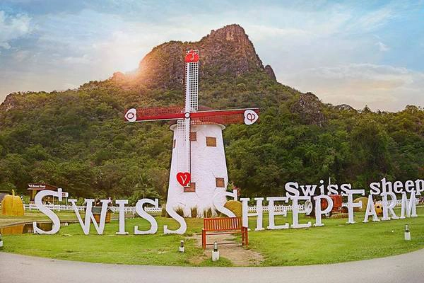 Ảnh: Fanpage Swiss Sheep Farm