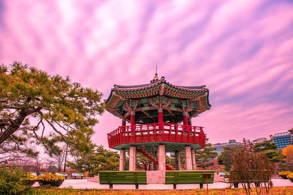 Công viên Seoullo 7017 Skygarden (Seoul): Nằm ở trung tâm Seoul, địa điểm này từng là cầu vượt qua đường cao tốc, sau đó được cải tạo thành công viên với nhà hàng và sân chơi trẻ em. Du khách sẽ được ngắm nhìn 50 loại cây, hoa khác nhau. Seoullo 7017 Skygarden được xem là một trong những lá phổi xanh của thủ đô Hàn Quốc.