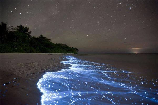 1. Bãi biển sao trên đảo Vaadhoo, Mandives - Bãi biển này có thể nhìn rất bình thường vào ban ngày, nhưng ban đêm, nó trở nên rực rỡ hơn bao giờ hết nhờ ánh sáng lung linh từ vi khuẩn phytoplankton. Ảnh: Doug Perinne diemden-ivivu-1
