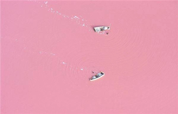 11. Hồ Retba, Senegal - Hồ Retba nằm cách thủ đô Dakar của Senegal 35km về phía Đông Bắc, điểm khác biệt và nổi bật của Retba chính là ở màu sắc lạ thường, độc đáo của mình. Nhiều chuyên gia nghiên cứu cho rằng: màu hồng như sữa dâu tây của hồ Retba được tạo ra từ các sinh vật mang tên Dunaliella Salina sống nhờ hàm lượng muối cao trong hồ. Chúng có màu đỏ và vào ban ngày khi hấp thụ ánh sáng mặt trời các sinh vật này khiến nước có màu hồng đặc biệt. Ảnh: Huffingtonpost diemden-ivivu-11