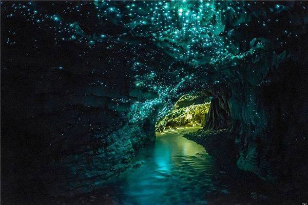 7. Hang động đom đóm ở New Zealand - Hang động Waitomo Glowworm thuộc đảo Bắc, New Zealand nổi tiếng với vô vàn những con đom đóm phát sáng kỳ diệu. Ánh sáng kỳ ảo tuyệt đẹp như hàng ngàn ngôi sao bên trong động khiến bất cứ ai có dịp được đặt chân tới nơi đây đều phải ồ lên kinh ngạc. Ảnh: Psu.edu diemden-ivivu-7