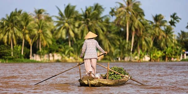 4. Đồng bằng sông Cửu Long: Khu vực ở Tây Nam bộ, nơi sông Mekong chảy qua, hay còn thân quen với người Việt bởi tên gọi miền Tây sông nước, là một trong những điểm đến thú vị trong mắt khách nước ngoài. Ngay gần TP HCM, họ có thể di chuyển tới các tỉnh như Cần Thơ, Vĩnh Long, Bạc Liêu... để cảm nhận cuộc sống nông thôn miền Nam trên những ghe thuyền, chợ nổi, bên những kênh rạch cùng nhiều loại hoa quả phong phú.