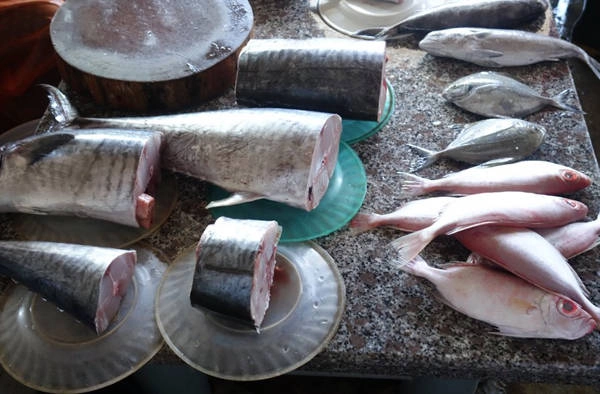 7. Hải sản tươi: Bờ biển trải dài đem lại nguồn cá tôm phong phú cho Việt Nam. Ở nước ngoài, tôm cá khi về đến căn bếp thường là loại đông lạnh thì khi sang tới nước ta, họ có thể thưởng thức những thực phẩm này vừa mới được đánh bắt trong ngày, thậm chí là chỉ cách đó vài giờ, hương vị tươi ngon.