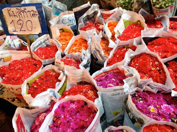Lang thang chợ hoa mở xuyên đêm: Pak Klong Talad là chợ hoa bán buôn và bán lẻ lớn nhất Bangkok. Tuy nhiên, khi đến đây tham quan, bạn nên giữ ý tứ không làm phiền chuyện buôn bán của chủ hàng, đặc biệt từ nửa đêm tới rạng sáng - thời điểm bận rộn nhất. Ảnh: Projectsoi. Lang thang chợ hoa mở xuyên đêm: Pak Klong Talad là chợ hoa bán buôn và bán lẻ lớn nhất Bangkok. Tuy nhiên, khi đến đây tham quan, bạn nên giữ ý tứ không làm phiền chuyện buôn bán của chủ hàng, đặc biệt từ nửa đêm tới rạng sáng - thời điểm bận rộn nhất. Ảnh: Projectsoi.