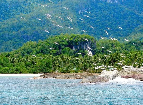 4. Puerta Princesa, Phillippines: Vẻ đẹp hoang sơ của những bãi biển Puerta Princesa không bút nào tả xiết. Ngoài những hồ bơi thiên nhiên tuyệt đẹp và các dải cát bình yên, nơi này còn có ẩm thực hấp dẫn. 4. Puerta Princesa, Phillippines: Vẻ đẹp hoang sơ của những bãi biển Puerta Princesa không bút nào tả xiết. Ngoài những hồ bơi thiên nhiên tuyệt đẹp và các dải cát bình yên, nơi này còn có ẩm thực hấp dẫn.