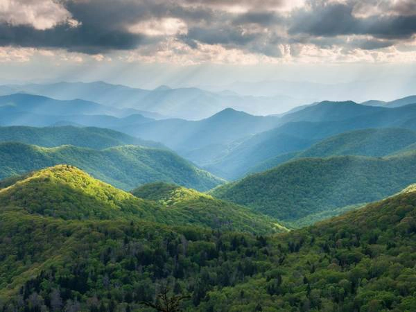 North Carolina: Khu vực dọc đường Blue Ridge qua cao nguyên Appalachia là một trong những vùng có hệ sinh thái đa dạng nhất thế giới, với hơn 1.600 loài thực vật, 54 loài động vật có vú và 159 loài chim. North Carolina: Khu vực dọc đường Blue Ridge qua cao nguyên Appalachia là một trong những vùng có hệ sinh thái đa dạng nhất thế giới, với hơn 1.600 loài thực vật, 54 loài động vật có vú và 159 loài chim.