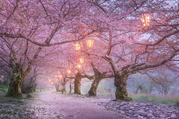 Ngày mưa ở Osaka: Cho dù ngày nắng chói chang hay đổ mưa thì bạn cũng sẽ chẳng bao giờ thấy Osaka nhàm chán. Thành phố này thuộc vùng đô thị lớn thứ hai của Nhật Bản sau Tokyo và cũng được biết đến với kiến trúc nổi bật, cuộc sống về đêm ồn ào, thức ăn đường phố tuyệt vời, và tất nhiên không thể bỏ qua lâu đài Osaka. Nếu thời tiết xấu thì đừng lo lắng vì ở giữa khu mua sắm chính của thành phố là Shinsaibashi-suji, một đường phố mua sắm rộng lớn, nơi bạn có thể dễ dàng dành một vài giờ tham quan, thay vì phải ngồi không chờ tạnh mưa. Ngày mưa ở Osaka: Cho dù ngày nắng chói chang hay đổ mưa thì bạn cũng sẽ chẳng bao giờ thấy Osaka nhàm chán. Thành phố này thuộc vùng đô thị lớn thứ hai của Nhật Bản sau Tokyo và cũng được biết đến với kiến trúc nổi bật, cuộc sống về đêm ồn ào, thức ăn đường phố tuyệt vời, và tất nhiên không thể bỏ qua lâu đài Osaka. Nếu thời tiết xấu thì đừng lo lắng vì ở giữa khu mua sắm chính của thành phố là Shinsaibashi-suji, một đường phố mua sắm rộng lớn, nơi bạn có thể dễ dàng dành một vài giờ tham quan, thay vì phải ngồi không chờ tạnh mưa.