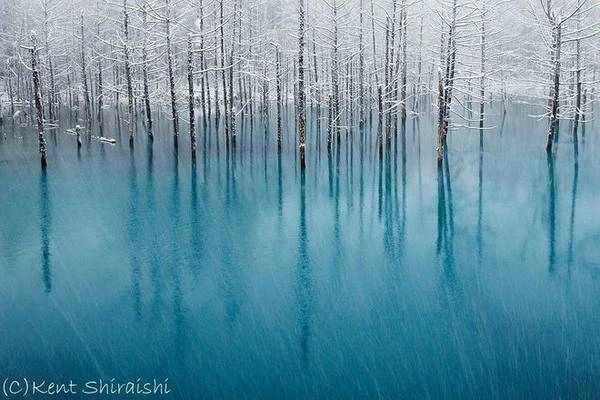 Ao xanh ở Hokkaido: Hokkaido là hòn đảo lớn thứ hai của Nhật Bản. Nằm ở rất xa về phía Bắc, đây là một vùng hoang dã rộng lớn nhưng chỉ có một phần ba dân số. Blue Pond (Aoiike) được đặt tên như vậy vì những khoáng chất tự nhiên biến nước ao mang một xanh tuyệt đẹp. Ao xanh ở Hokkaido: Hokkaido là hòn đảo lớn thứ hai của Nhật Bản. Nằm ở rất xa về phía Bắc, đây là một vùng hoang dã rộng lớn nhưng chỉ có một phần ba dân số. Blue Pond (Aoiike) được đặt tên như vậy vì những khoáng chất tự nhiên biến nước ao mang một xanh tuyệt đẹp.