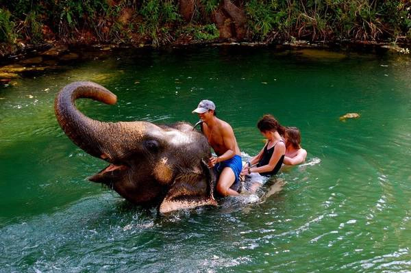 1. Nói không với trò cưỡi voi: Phúc lợi dành cho động vật là một vấn đề nghiêm trọng ở nhiều quốc gia. Một chuyến ngắm cảnh trên lưng voi trong nửa tiếng ở Thái Lan có thể góp phần “đổ thêm dầu vào lửa” đối với kiếp sống khổ sở của chú voi. Hãy tránh những cái bẫy du lịch giúp thúc đẩy hoạt động khai thác, bóc lột động vật. Ảnh: WordPress.