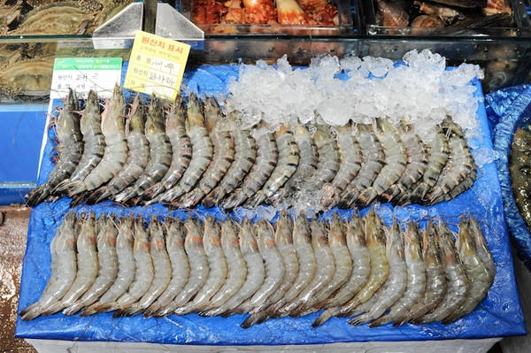 Ảnh: Ladyironchef.com