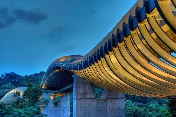 Henderson Waves hiện đang giữ kỷ lục là cầu đi bộ cao nhất Singapore với chiều cao 36m cách mặt đường và được đặt tại phía Tây Singgapore. Với độ cong đẹp mắt, nhìn từ xa Henderson Waves trông như một con rắn khổng lồ. Ảnh: Jonathan Danker Henderson Waves hiện đang giữ kỷ lục là cầu đi bộ cao nhất Singapore với chiều cao 36m cách mặt đường và được đặt tại phía Tây Singgapore. Với độ cong đẹp mắt, nhìn từ xa Henderson Waves trông như một con rắn khổng lồ. Ảnh: Jonathan Danker