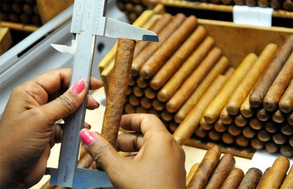 2. Xì gà Cuba Bất chấp các lệnh trừng phạt thương mại của Mỹ đối với các sản phẩm của Cuba, xì gà vẫn là một trong những mặt hàng xuất khẩu chủ lực của đất nước. Cuba đã xuất khẩu 77 triệu điếu xì gà từ những năm 1990. 2. Xì gà Cuba Bất chấp các lệnh trừng phạt thương mại của Mỹ đối với các sản phẩm của Cuba, xì gà vẫn là một trong những mặt hàng xuất khẩu chủ lực của đất nước. Cuba đã xuất khẩu 77 triệu điếu xì gà từ những năm 1990.
