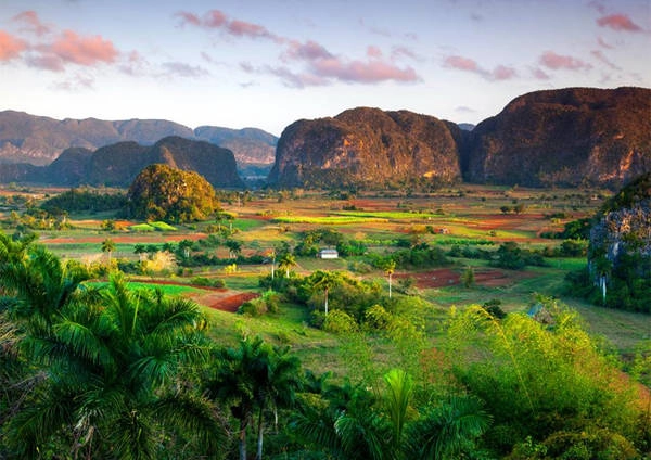 4. Thung lũng Viñales Các điểm tham quan du lịch tự nhiên ở Cuba, bao gồm thung lũng Viñales, nơi trồng các loại cây thực phẩm... là điểm đến du lịch thu hút rất nhiều người leo núi và đi bộ đường dài. 4. Thung lũng Viñales Các điểm tham quan du lịch tự nhiên ở Cuba, bao gồm thung lũng Viñales, nơi trồng các loại cây thực phẩm... là điểm đến du lịch thu hút rất nhiều người leo núi và đi bộ đường dài.