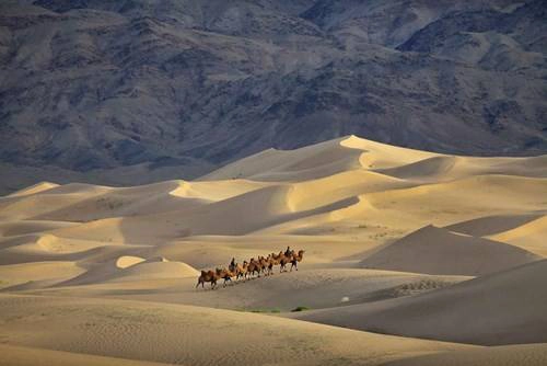 <strong>1. Khám phá sa mạc Gobi: </strong>Khác với sa mạc Sahara, sa mạc Gobi ở Mông Cổ thu hút du khách không chỉ bởi khí hậu đặc trưng mà vì đây còn là nơi sinh sống của nhiều loài động vật quý hiếm, như lạc đà hai bước Bactrian, linh dương Gazen đuôi đen, gấu Gobi, báo tuyết. Vùng đất này là nơi lưu giữ nhiều hóa thạch quan trọng, gồm những hang động có từ thời tiền sử, dụng cụ bằng đá có niên đại 100.000 năm. Đây cũng là nơi tìm thấy quả trứng khủng long đầu tiên trên thế giới. Ảnh: Timothy Allen/Getty Images. <strong>1. Khám phá sa mạc Gobi: </strong>Khác với sa mạc Sahara, sa mạc Gobi ở Mông Cổ thu hút du khách không chỉ bởi khí hậu đặc trưng mà vì đây còn là nơi sinh sống của nhiều loài động vật quý hiếm, như lạc đà hai bước Bactrian, linh dương Gazen đuôi đen, gấu Gobi, báo tuyết. Vùng đất này là nơi lưu giữ nhiều hóa thạch quan trọng, gồm những hang động có từ thời tiền sử, dụng cụ bằng đá có niên đại 100.000 năm. Đây cũng là nơi tìm thấy quả trứng khủng long đầu tiên trên thế giới. Ảnh: Timothy Allen/Getty Images.