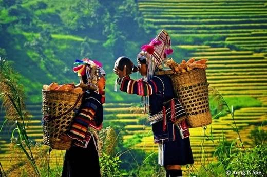 Kyaing Tong là thủ phủ của vùng Tam giác vàng, nơi đây gây ấn tượng bởi vẻ đẹp của những núi đồi trập trùng và các bản làng người dân tộc thiểu số. (Nguồn: Internet) Kyaing Tong là thủ phủ của vùng Tam giác vàng, nơi đây gây ấn tượng bởi vẻ đẹp của những núi đồi trập trùng và các bản làng người dân tộc thiểu số. (Nguồn: Internet)