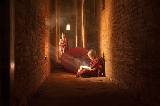 Các chú tiểu chăm chú đọc sách nhờ ánh nắng chiếu qua khung cửa sổ. (Nguồn: Internet) Các chú tiểu chăm chú đọc sách nhờ ánh nắng chiếu qua khung cửa sổ. (Nguồn: Internet)