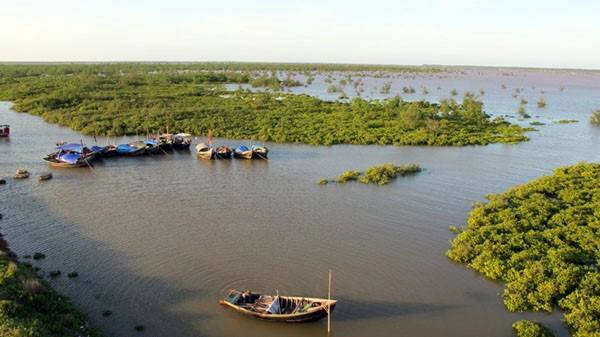 Bãi Ngang - cồn nổi ven biển Kim Sơn được UNESCO công nhận là khu dự trữ sinh quyển thế giới. Khu vực có khoảng 200 loài chim, trong đó có gần 60 loài chim di cư, hơn 50 loài chim nước. Nhiều loài quý hiếm được ghi trong sách đỏ thế giới như cò thìa, mòng bể, rẽ mỏ thìa, cò trắng bắc... Hiện nay, còn ít du khách biết đến địa danh này. Ảnh: Dulichninhbinh365 .