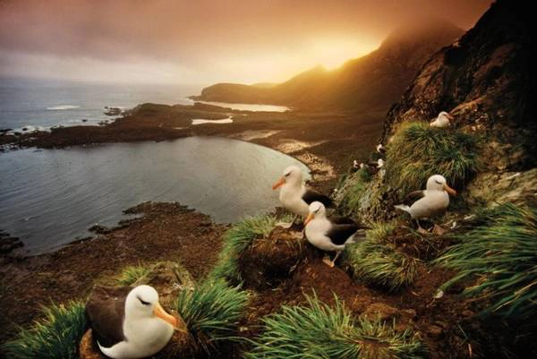 Biển Weddell ở Nam cực - Ảnh: National Geographic