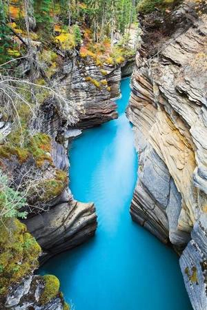 Vườn quốc gia Jasper ở tỉnh Alberta, Canada - Ảnh: National Geographic