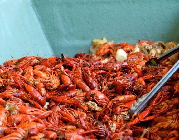 New Orleans (Mỹ): Người dân địa phương cho biết thực đơn ở đây chủ yếu là hải sản, được những người đi biển chế biến hàng ngày. Du khách nên tới phố Dauphine để thưởng thức ẩm thực đường phố và bữa sáng chay tịnh, tới phố Freret để ăn tôm hùm, hàu chiên và thịt bò nướng, tới phố Frady để trải nghiệm bữa ăn đậm chất miền Nam. New Orleans (Mỹ): Người dân địa phương cho biết thực đơn ở đây chủ yếu là hải sản, được những người đi biển chế biến hàng ngày. Du khách nên tới phố Dauphine để thưởng thức ẩm thực đường phố và bữa sáng chay tịnh, tới phố Freret để ăn tôm hùm, hàu chiên và thịt bò nướng, tới phố Frady để trải nghiệm bữa ăn đậm chất miền Nam.