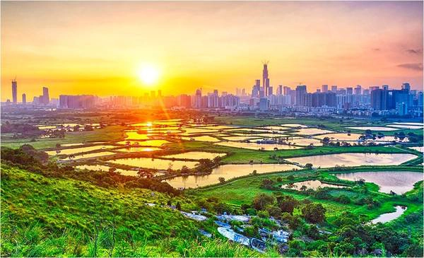 Hoàng hôn nơi ngoại ô thành phố gợi lên vẻ yên bình. Ảnh: Cozyta / Picfair. Hoàng hôn nơi ngoại ô thành phố gợi lên vẻ yên bình. Ảnh: Cozyta / Picfair.