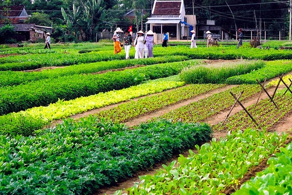 Ảnh: Vietnamtourism.com. Ảnh: Vietnamtourism.com.