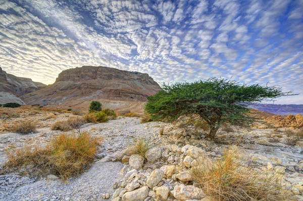 7. Masada, Israel: Masada nguyên là một pháo đài của người Do Thái nằm trong địa phận của Israel, về phía tây nam của Biển Chết. Pháo đài này phần lớn được xây dựng vào thời vua Herod Đại đế, khoảng từ năm 40 trước công nguyên đến năm 30 trước công nguyên. Năm 2001 Masada được UNESCO công nhận là di sản văn hóa thế giới. Ảnh: Seanpavonephoto / Getty Images