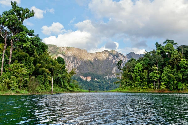 9. Khao Sok, Thái Lan: Điểm nhấn đặc biệt của công viên quốc gia này là những ngôi nhà gỗ nổi và du khách chỉ có thể đến đây bằng thuyền. Đây cũng là một trong những nơi tốt nhất ở Thái Lan để nhìn thấy các loài động vật lớn như: voi, hổ và gấu. Chúng thường được nhìn thấy khi xuống uống nước sông Khlong Saeng. Ảnh: Sergey Belov / Getty Images
