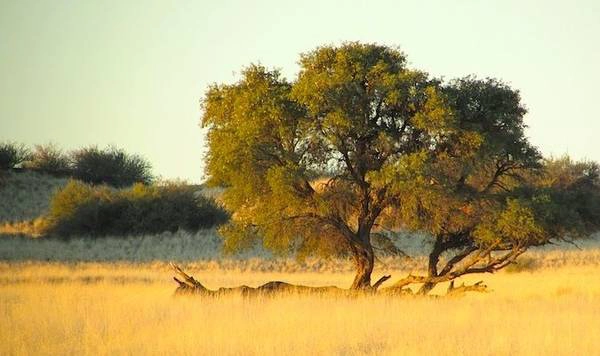 Ảnh: Nomadicmatt.com Ảnh: Nomadicmatt.com