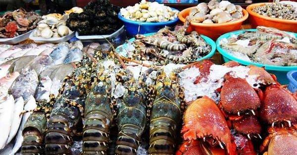 Hải sản phong phú ở chợ đêm. Ảnh: doisongphapluat Hải sản phong phú ở chợ đêm. Ảnh: doisongphapluat
