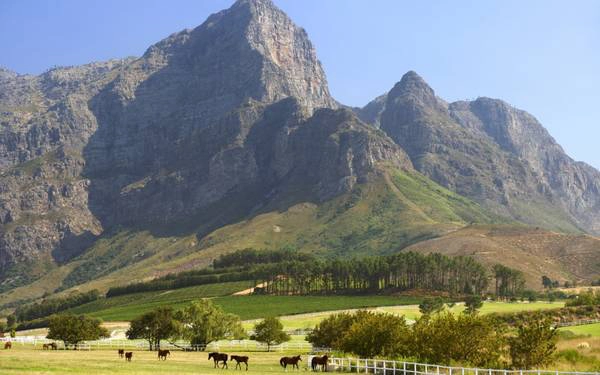 Các thung lũng màu mỡ của Winelands Cape được bao quanh bởi những dãy núi hùng vĩ và những ngôi làng thanh bình, tượng đài rực rỡ, vườn cây ăn trái trĩu quả và một số cảnh quan ở Nam Phi. Các thung lũng màu mỡ của Winelands Cape được bao quanh bởi những dãy núi hùng vĩ và những ngôi làng thanh bình, tượng đài rực rỡ, vườn cây ăn trái trĩu quả và một số cảnh quan ở Nam Phi.