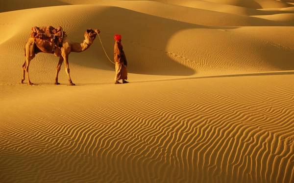 Rajasthan nổi tiếng bởi nền văn hóa phong phú, những pháo đài hùng vĩ và cung điện tuyệt đẹp Rajasthan nổi tiếng bởi nền văn hóa phong phú, những pháo đài hùng vĩ và cung điện tuyệt đẹp